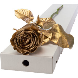 Single Letterbox Gold (Sprayed) Rose