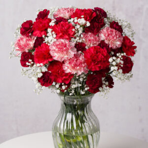 Christmas Cheer Large