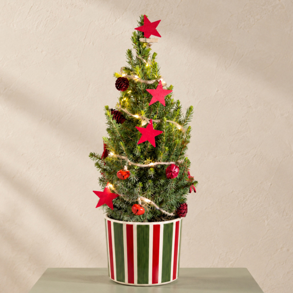 Decorated Christmas Tree